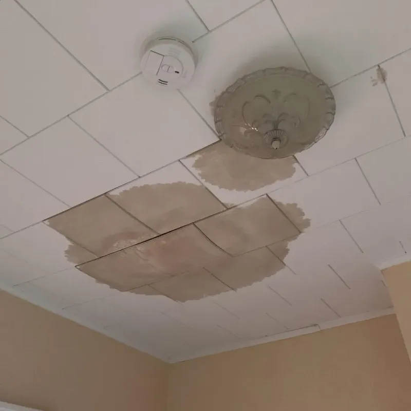 Ceiling Water Damage Repair in Gaines County, TX