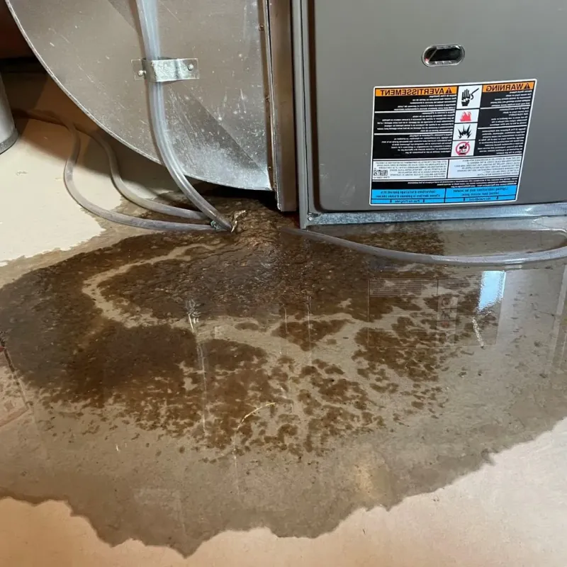 Pipe Burst and Leak Restoration in Gaines County, TX