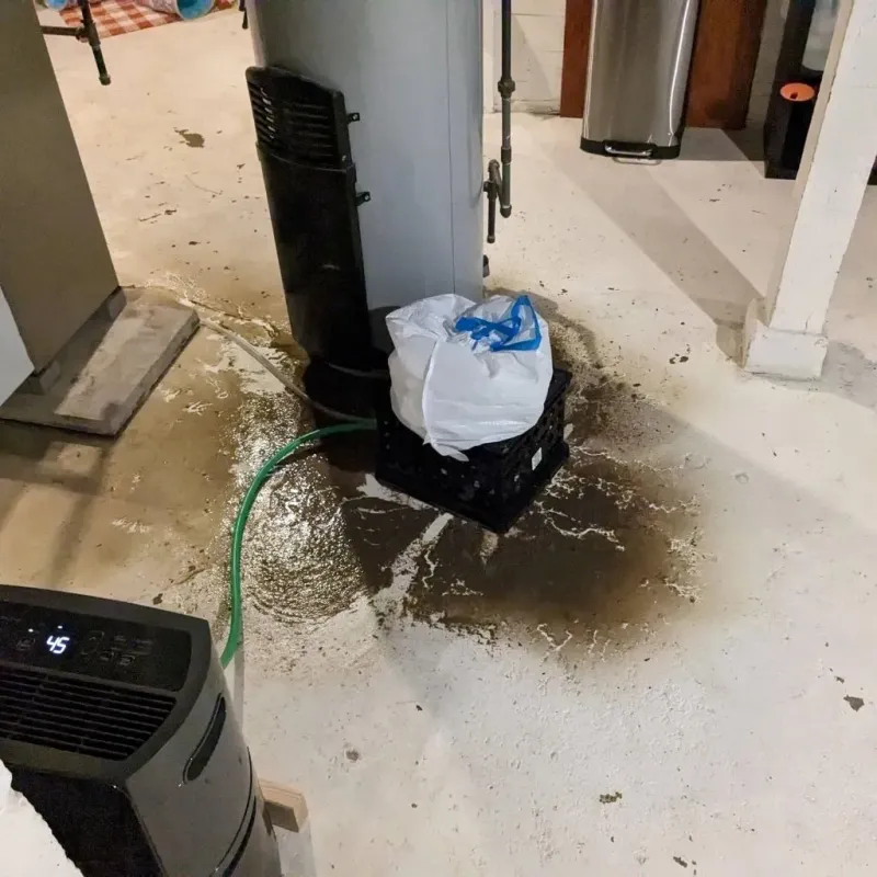 Sewage Backup Cleanup Service in Gaines County, TX